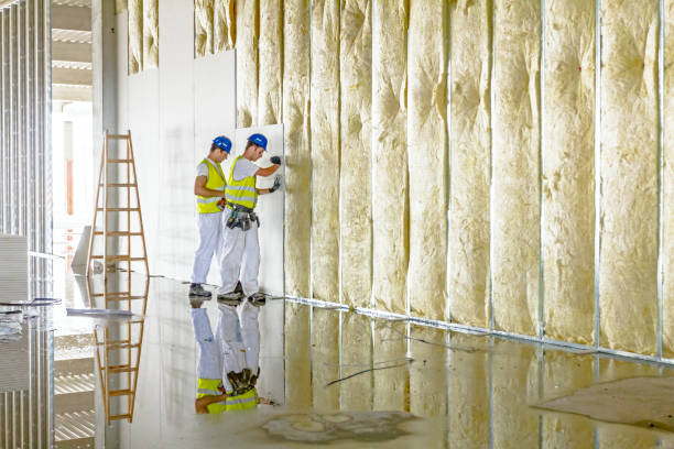 Best Attic Insulation Installation  in Lakeside, MT